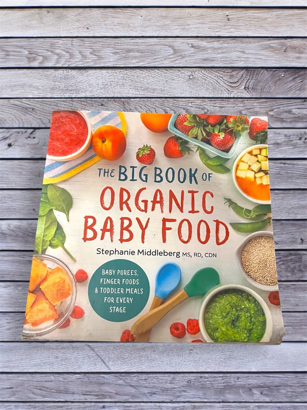 The Big Book of Organic Baby Food by Stephanie Middleberg